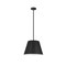 Z-Lite Maddox 1 Light Chandelier, Matte Black 6013-18MB - alternate 6